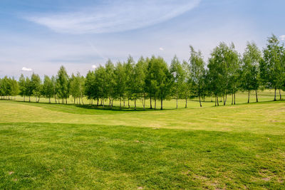 Golf course located in bazantarnia park in siemianowice, silesia, poland. perfectly cutted lawn 