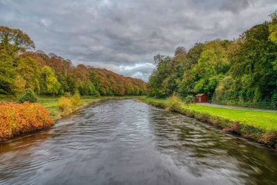 Scenic view of river amidst trees against sky