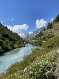 Scenic view of river amidst trees against sky