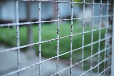 Close-up of chainlink fence