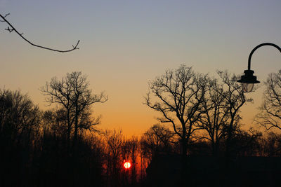 Silhouette trees against sky during sunset