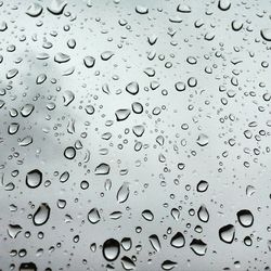 Close-up of water drops on ground