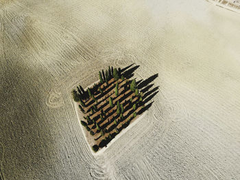 High angle view of beach