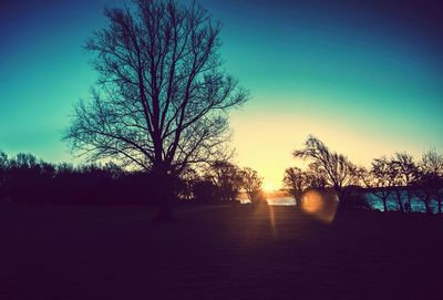 Silhouette of trees at sunset