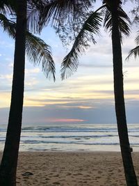 Scenic view of sea during sunset