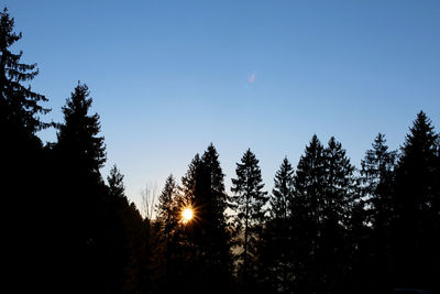 Low angle view of silhouette trees against sky