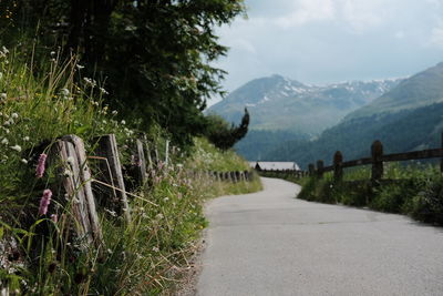 Country road leading towards mountains