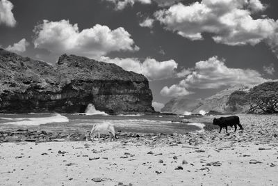 Rural beach in the wild coast of africa