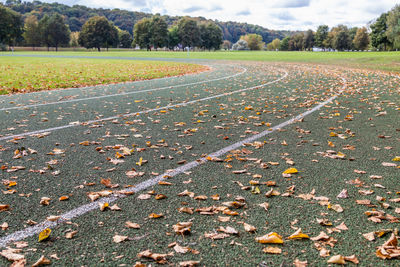 Scenic view of agricultural field