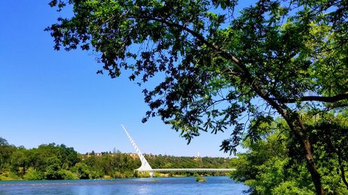 Scenic view of river against clear sky