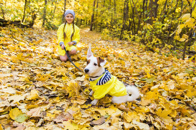 Full length of a dog in autumn leaves