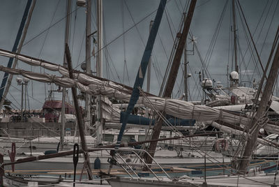 Sailboats moored on harbor against sky