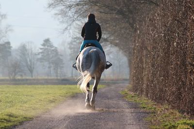 Rear view of horse riding