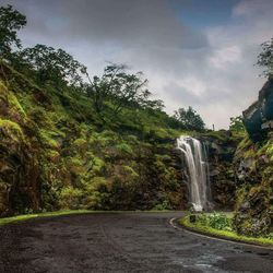 Scenic view of waterfall against trees in forest