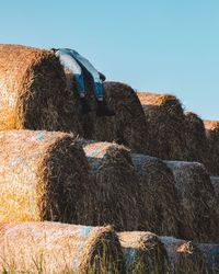 Low angle view of person lying on hay bales against clear sky