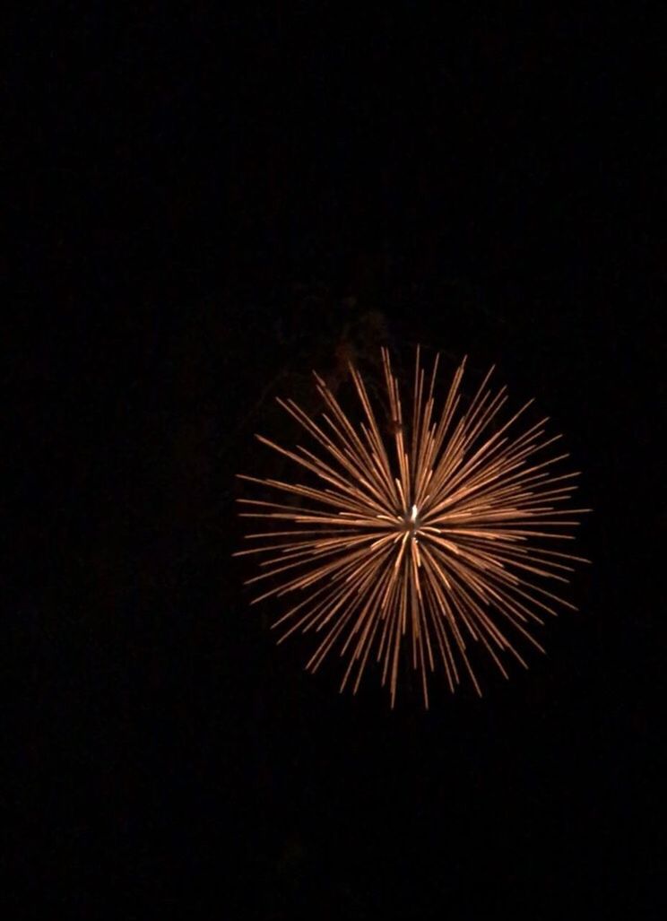 night, firework display, firework - man made object, celebration, black background, no people, illuminated