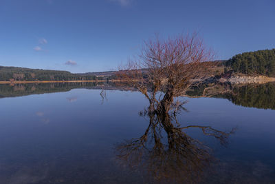 Scenic view of lake against blue sky