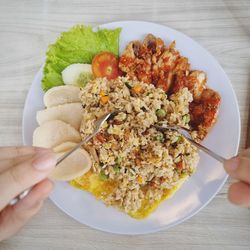 Cropped image of person holding food in plate