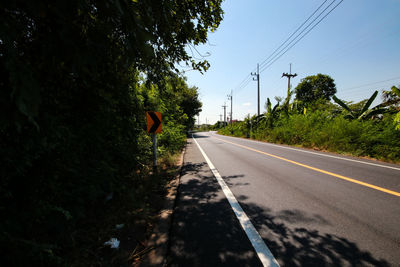 Road by trees against sky