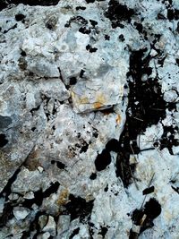 Full frame shot of stone wall