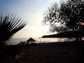 Silhouette trees on beach against sky during sunset