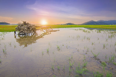 Scenic view of lake against sky during sunset