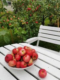 Fruits in container