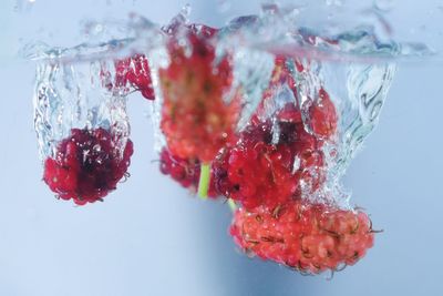 Close-up of red berries over water against white background