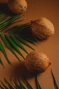 High angle view of fruits on table