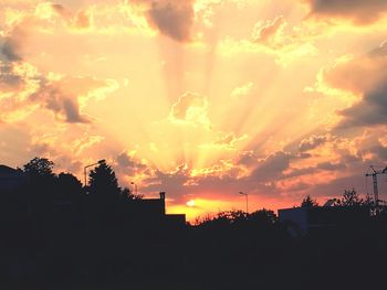 Silhouette trees against sky during sunset