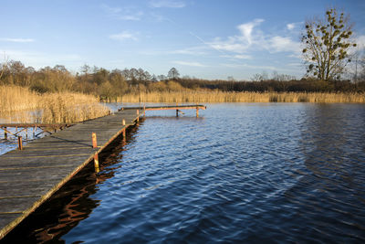 Wooden long jetty and blue lake, horizon with trees, sunny day