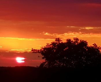 Silhouette trees against sky during sunset