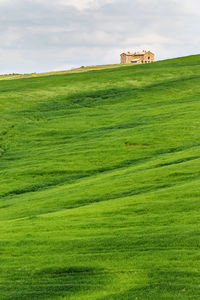 Scenic view of grassy field against sky