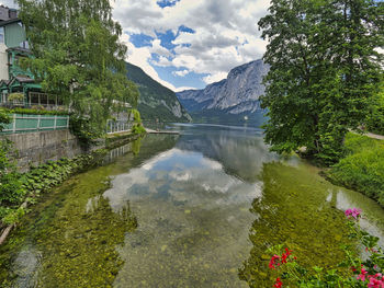 Scenic view of lake by trees against sky