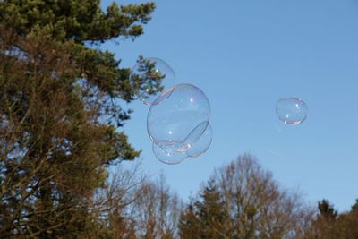 Low angle view of bubbles against blue sky