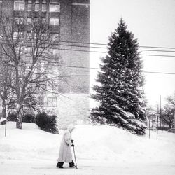 Snow covered trees in winter