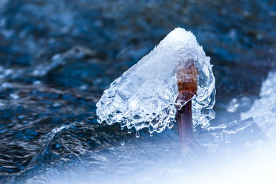 Close-up of frozen ice formation on a tree branch above flowing river water