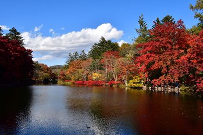 Scenic view of lake by trees against sky during autumn