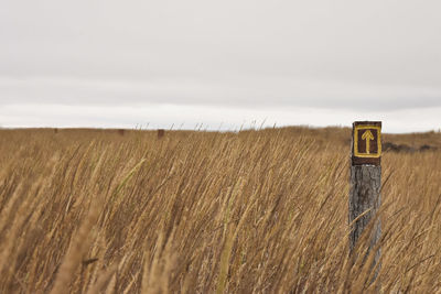 Hay bales on field against sky