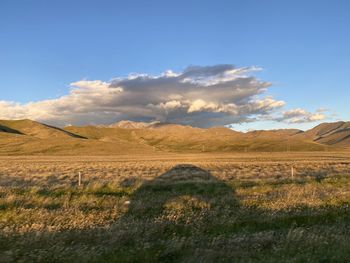 Scenic view of field against sky