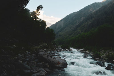 Scenic view of river flowing through rocks in forest