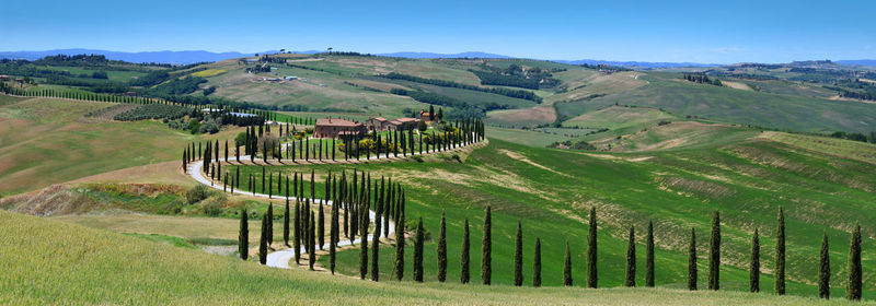 Scenic view of farm against sky