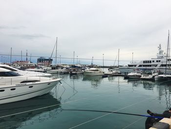 Sailboats moored at harbor against sky