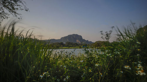 Scenic view of lake against clear sky