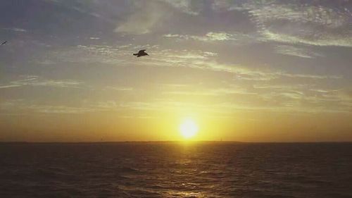 Scenic view of sea at sunset