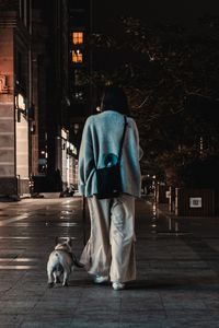 Rear view of man with dog on street at night