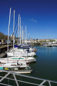 Sailboats moored in harbor