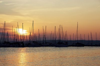 Sailboats in marina at sunset