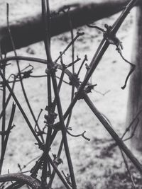 View of chainlink fence