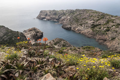 High angle view of plants by sea against sky